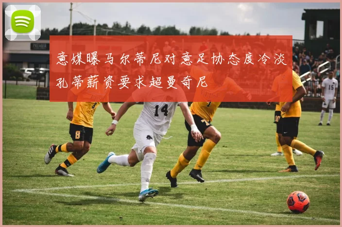 意媒曝马尔蒂尼对意足协态度冷淡孔蒂薪资要求超曼奇尼
